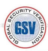 GSVwϵ