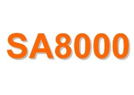 SA8000wϵ