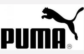PUMA͑(yn)S