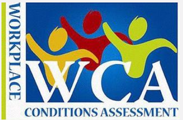 WCA͑(yn)S
